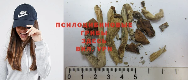 COCAINE Гусиноозёрск